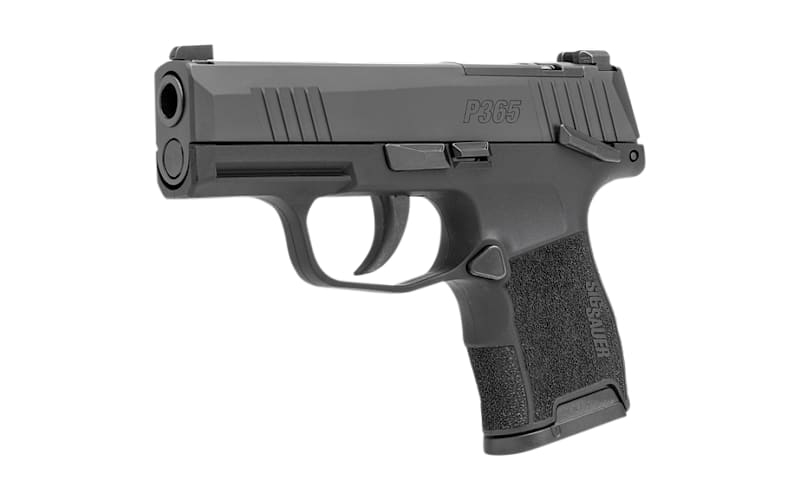 Representative SIG SAUER pistol